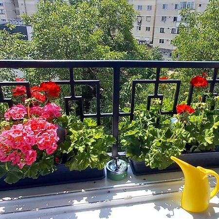 33 Coquette Apartment 巴亚马雷 外观 照片