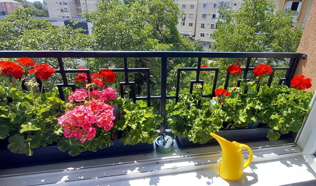 33 Coquette Apartment 巴亚马雷 外观 照片